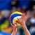 Group logo of Volleyball